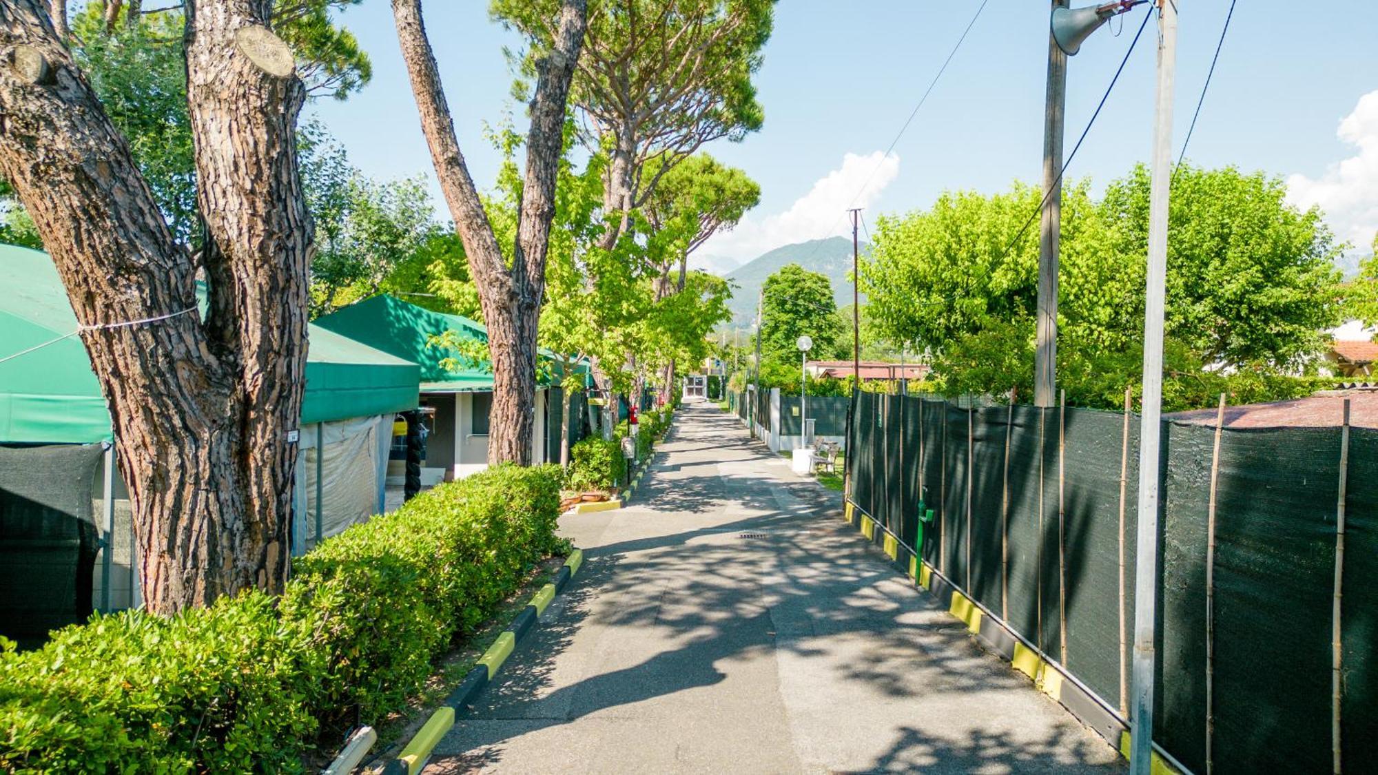 Parque de Campismo Apuano