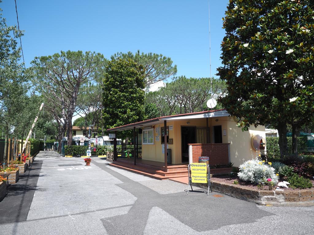 Apuano