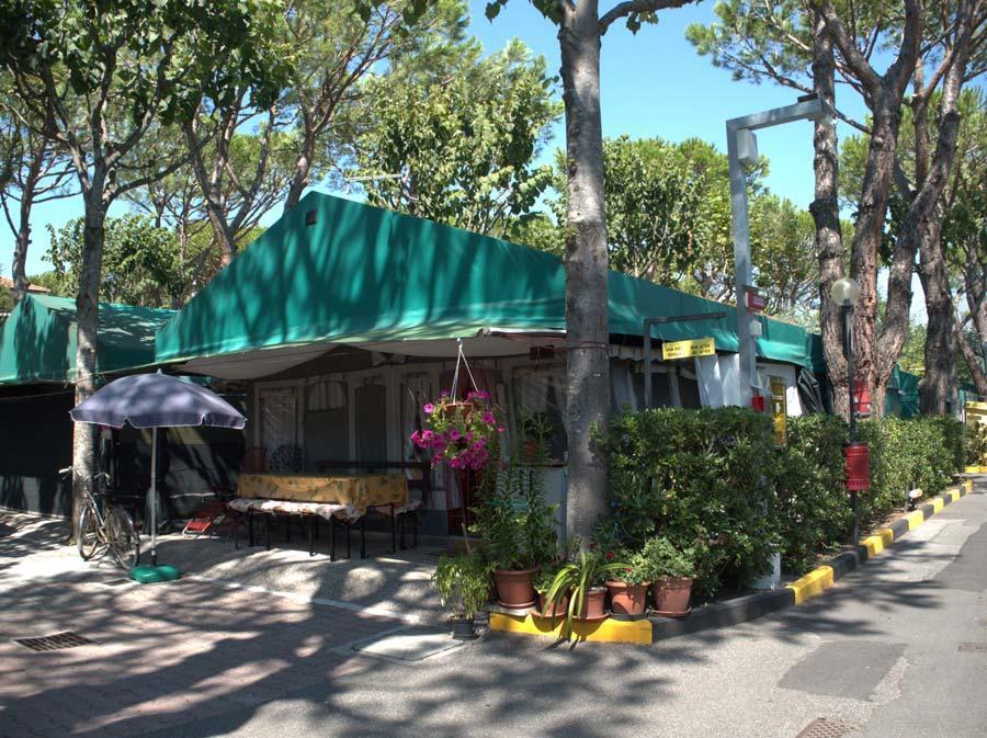 Campsite Apuano