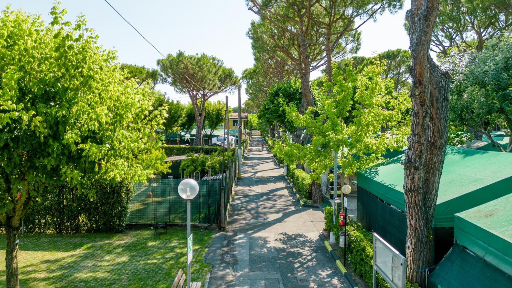 Apuano Campingplatz *