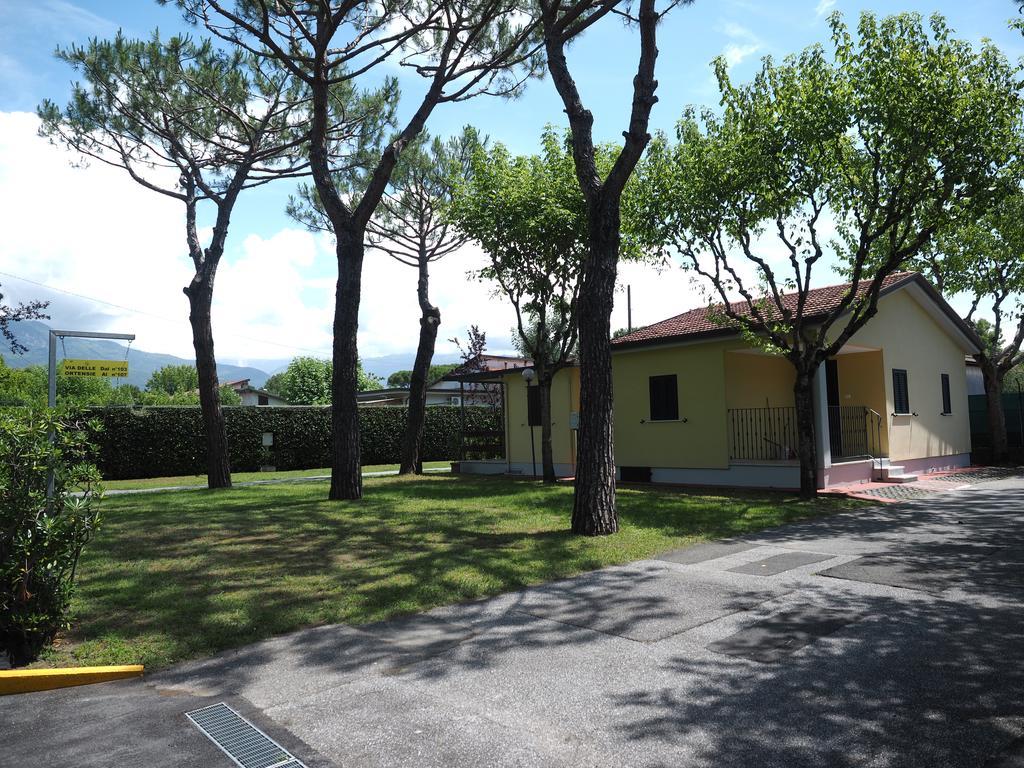 Apuano * Marina di Massa