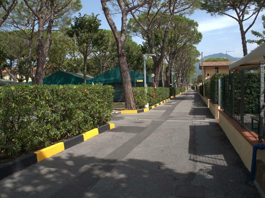 Apuano